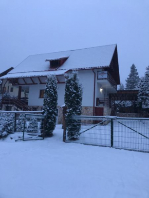 Casa dintre Brazi